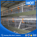 manufacture 4 layers layer chicken cage for chicken farm for sri lanka